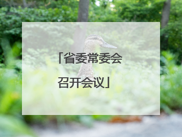 省委常委会召开会议
